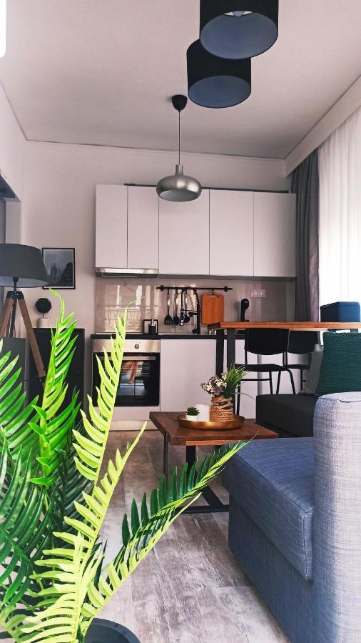 Down Town Luxurious Apartments Александроуполис Экстерьер фото